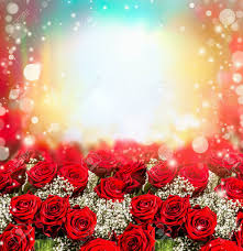Maybe you would like to learn more about one of these? Red Roses Background With Sun Light And Bokeh Roses Garden Stock Photo Picture And Royalty Free Image Image 52823723