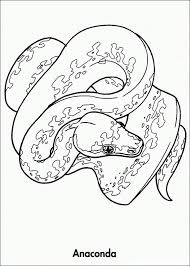 Rainforest Animals Coloring Page New Rainforest Animals Coloring Pages Yahoo Image Search In 2020 Animal Coloring Pages Animal Coloring Books Coloring Pages