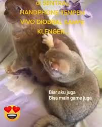 Pasirian no.km, 7, besuk, tempeh, kabupaten lumajang, jawa timur 67371, indonesia . Sentral Handphone Tempeh Lumajang Home Facebook