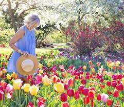 Maybe you would like to learn more about one of these? Buy The Best Flower Bulbs Online Bulbi Nl