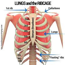 Some chest pains cause a burning, uncomfortable feeling behind your ribs. Breathing Exercises For Singing 360 Ring Of Breath How 2 Improve Singing Singing Tips Singing Learn Singing