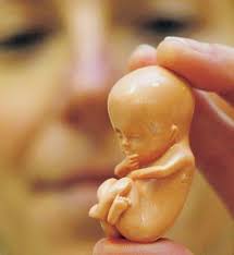 2006/01/11_Mercredi : LIMPARTIAL : LIMPARTIALLIMPARTIAL