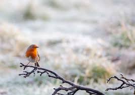 Sunday denotes our longest day and most limited evening of the year and the primary official day of summer in the northern hemisphere. Longest Day Of The Year When Is The Summer Solstice 2021 Express Co Uk