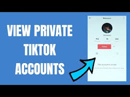 You can choose the tiktok viewer apk version that suits your phone, tablet, tv. View Private Tiktok Accounts Profiles 2021