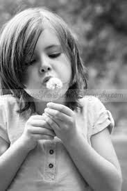 Horse Shoe Luck Photography...