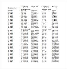 1 Baby Weight Chart During Pregnancy Baby Weight Chart