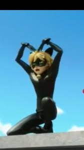 My Lady Te Amo Ta Tao Dificil De Entender Miraculous Ladybug Funny Miraculous Ladybug Fanfiction Miraculous Ladybug