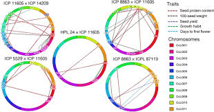 How do proteins relate to traits. Seed Protein Content And Its Relationships With Agronomic Traits In Pigeonpea Is Controlled By Both Main And Epistatic Effects Qtls Scientific Reports