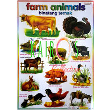 Lagu anak indonesia | anak kambing saya lagu anak anak terbaru! Animal Farm Animal Farm Educational Children S Poster Shopee Malaysia