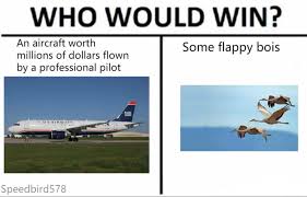 Aviation Pilot Meme Funny Aviationhumour Aviationmemes Pilothumour Planes Airport Aircraft Aviation Humor Pilot Humor Fly Quotes