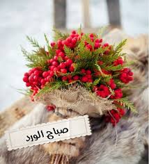 pin by asso on صباح الخير winter wedding bouquet wedding crafts diy beautiful morning messages