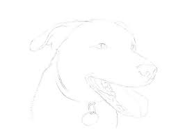 I also made one for beth, but i never got to scan it! How To Paint A Dog With Watercolors