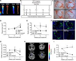Check spelling or type a new query. Cxcr4 Binding Positron Emission Tomography Tracers Link Monocyte Recruitment And Endothelial Injury In Murine Atherosclerosis Arteriosclerosis Thrombosis And Vascular Biology