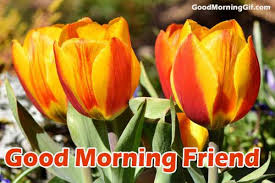 Good morning images with flowers free download. Good Morning Images With Flowers Good Morning Wishes