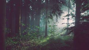 Forest 4k Uhd 16 9 Wallpapers Hd Desktop Backgrounds 3840x2160 Images And Pictures Available for hd, 4k, 5k desktops and mobile phones. forest 4k uhd 16 9 wallpapers hd