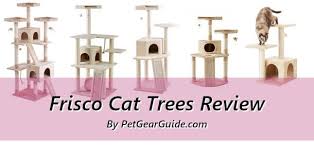 They can be a jungle gym, a lookout perch, a scratching post, a hiding cubby, or a lounging. Frisco Cat Trees Review Affordable Cat Furniture Updated 2021