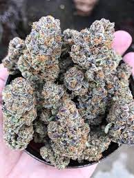 Smalls Premium Wedding Pie 6 Hybrid Thin Air Nursery