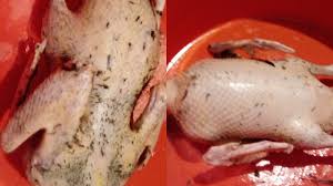 Check spelling or type a new query. Ø§Ø¨Ø³Ø· Ø·Ø±ÙŠÙ‚Ø© ÙÙŠ Ø§Ù„Ø¹Ø§Ù„Ù… Ù„ØªÙ†Ø¸ÙŠÙ Ø§Ù„Ø¨Ø· Ù…Ù† Ø§Ù„Ø±ÙŠØ´ Ø§Ù„ØµØºÙŠØ± ÙÙŠ Ø«ÙˆØ§Ù†ÙŠ Ø¨Ù…ÙƒÙˆÙ† Ø³Ø­Ø±ÙŠ Ù…Ø¹ Ø¥Ø²Ø§Ù„Ø© Ø§Ù„Ø²ÙØ§Ø±Ø© Youtube