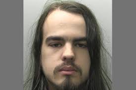 Bodmin man sentenced after rape of two dogs