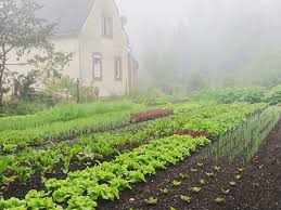 Maybe you would like to learn more about one of these? Permakultur Landkarte