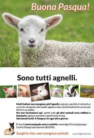Perché a pasqua si mangia l'agnello? Ssnv Volantino E Pieghevole Col Menu Pasqua