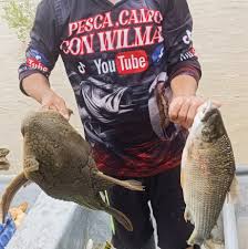 Profile for Gregory Stringer