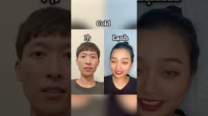 Vietnamese vs Chinese