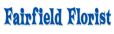 Best events near you in fairfield, connecticut. Same Day Flower Delivery In Fairfield Ct 06824 By Your Ftd Florist Fairfield Florist 203 256 9342
