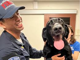 Los Angeles County Fire Dept.