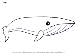 How to draw a blue whale , how to draw a blue whale easy step by step, how to draw a blue whale easy, how to draw a blue whale art hub, how to draw a blue wh. Learn How To Draw A Cartoon Blue Whale Cartoon Animals Step By Step Drawing Tutorials