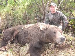 It was there that i learned that the difference in brown bear and black bear droppings. Baited Brown Bear Hunting Alaska