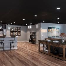 Basements are often used as a storage space and often the amount of natural light is limited. Genesis 2 Ft X 2 Ft Smooth Pro Black Ceiling Tile 740 07 The Home Depot Black Ceiling Black Ceiling Tiles Basement Inspiration