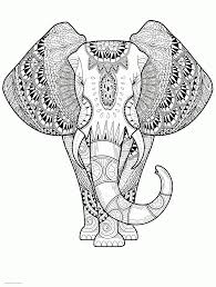 We did not find results for: Cute Elephant Coloring Pages For Adults Coloring Pages Printable Com