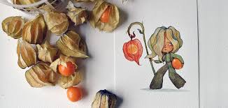 Elle Transforme Les Fruits Et Legumes En Adorables Petits Personnages Petit Personnage Fruits Et Legumes Personnages Mignons