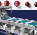 TABLE OLIVE EQUIPMENT | Pitting | Grading | Colour Sorting ...