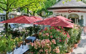Deuba 104082 garden sun cantilever parasol. Best Cantilever Garden Parasols For Windy Conditions 2021