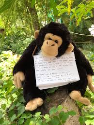 We did not find results for: Ev Grieve Baby Kong Arrives At The 6th Street And Avenue B Community Garden
