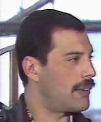 Appreciation for C. Tiger's friendly nature in the furry community