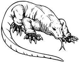 Check spelling or type a new query. Komodo Dragon Indonesian Komodo Dragon Coloring Pages Dragon Coloring Page Dragon Coloring Pages Komodo Dragon