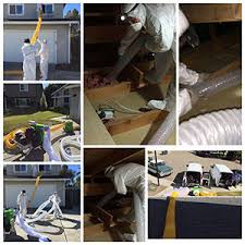 Searchinfotoday.com has been visited by 100k+ users in the past month Why Hire A Professional Attic Cleaning Service Element