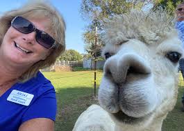 LondonDairy Alpaca Ranch