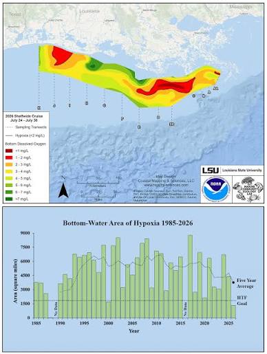 What is a dead zone?