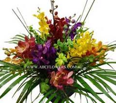 Beautiful little harmaya was born at frances perry house at 35 weeks so spent a little time in our special care nursery. Frances Perry House Florist Abc Flowers Flowers Hampers To Frances Perry House Parkville Free Delivery