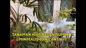 Sehingga, ketika di rumah kita tidak hanya tidur atau menonton tv saja, melainkan bisa menikmati pemandangan yang lebih alami dan nyaman. 10 87 Mb Tanaman Hias Depan Rumah Tanaman Wajib Ada Di Rumah Tanaman Hias Rumah Minimalis Tapi Cantik Download Lagu Mp3 Gratis Mp3 Dragon
