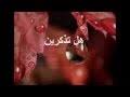 تحميل هل تذكرين بشط النيل مجلسنا احمد ادم Mp3