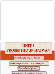 Bagi saya , itu cara saya memberi reward untuk diri sendiri. 3 Cara Haiwan Melindungi Diri Daripada Cuaca Melampau