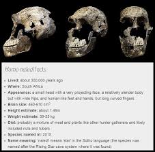 Festlegung der gesamtnote (bitte nur bei der letzten bearbeiteten aufgabe . Paleoanthropology On Twitter Homo Naledi Your Most Recently Discovered Human Relative Nhm London Https T Co Zgx0ym52dq