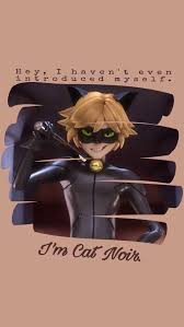 A collection of the top 47 cat noir wallpapers and backgrounds available for download for free. Cat Noir Hintergrundbild Nawpic