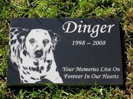 Pet Memorial Stone Granite With Photo 9 X 14 X 1 25 Inches Here How To Order 1 Purchase Our Listing Granite Pet Memorials Pet Headstones Pet Memorial Stones