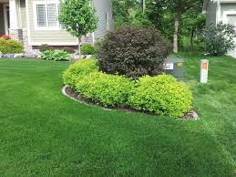 Winged burning bush, euonymus alatus. Pin By Tammy Hodge On Garden And Landscaping Ideas Garden Landscape Design House Landscape Outdoor Landscaping